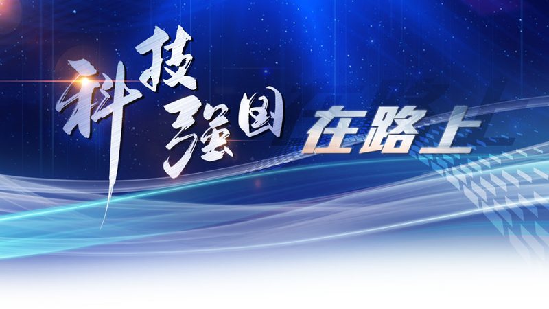 企业数字化咨询公司需要哪些专业资质
